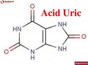 Nồng độ acid uric tăng có do chế độ ăn giàu chất đạm