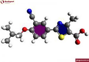 Rối loạn chuyển hóa purin gây ra tình trạng dư thừa acid uric trong máu và khả năng đào thải acid uric ra ngoài