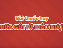 4 bài thuốc dân gian chữa 4 thể gút theo Đông y